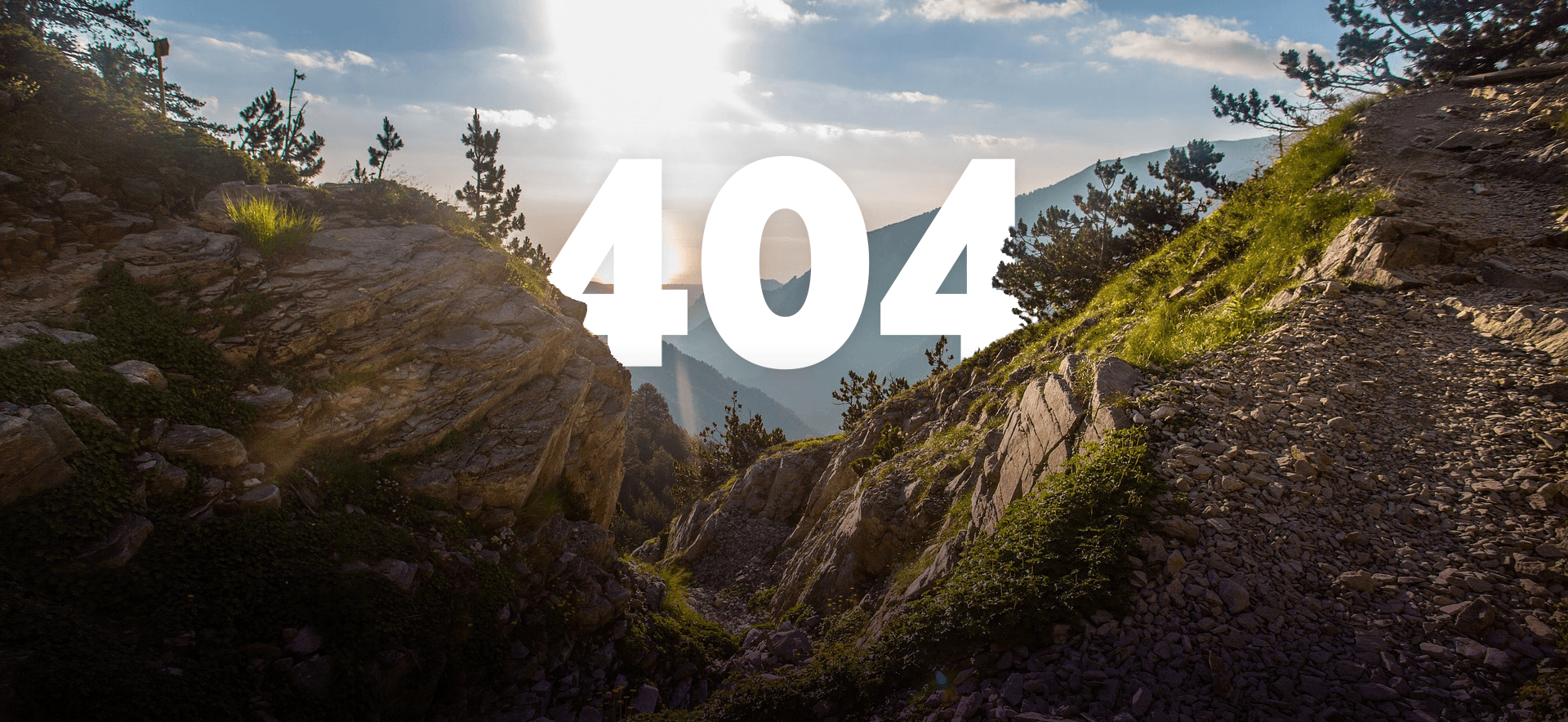 Not found page background