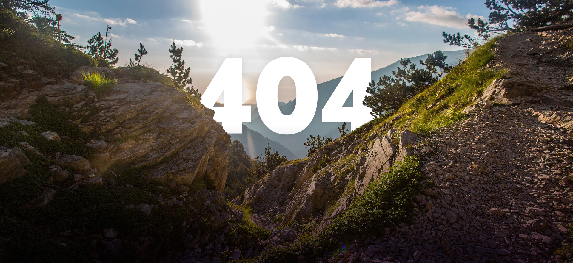 Not found page background